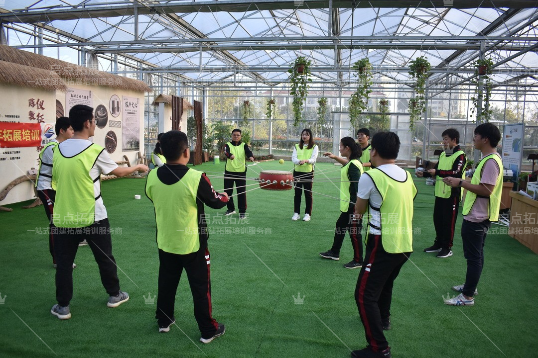 打造高效团队合作，实现企业发展的突破.jpg
