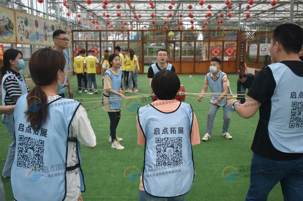 拓展训练感悟分享，提升个人与团队发展.jpg