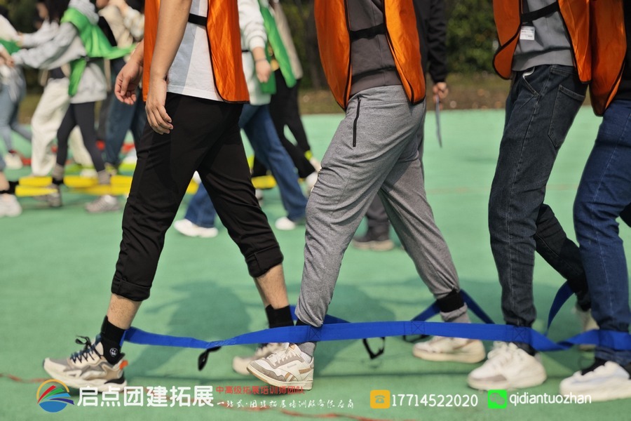 芜湖弋矶山医院于 2024 年 11 月 4 日在芜湖龙山露营地开展新员工团建拓展活动，由启点团建拓展公司策划。.jpg