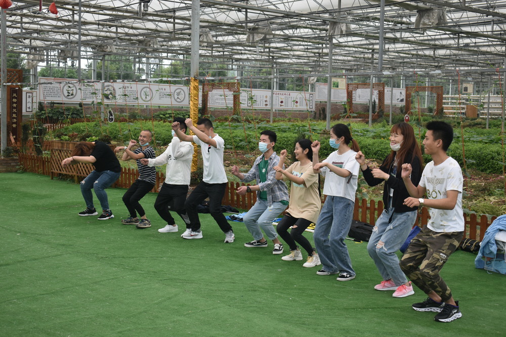 春季团队建设指南，引领团队进步.jpg