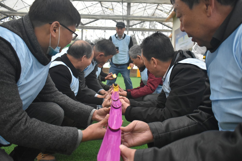 趣味亲子拓展,筑牢亲子情感桥梁.jpg 趣味亲子拓展,筑牢亲子情感桥梁.jpg