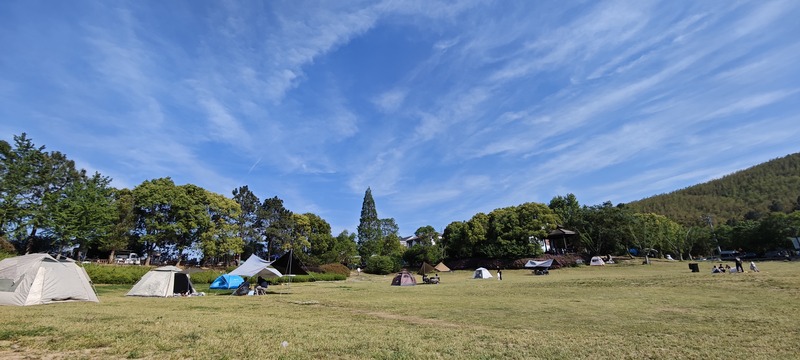 启点团建拓展之“南京江宁黄龙岘”团建拓展基地：茶香沁心，凝聚团队力量的理想之地8.jpg