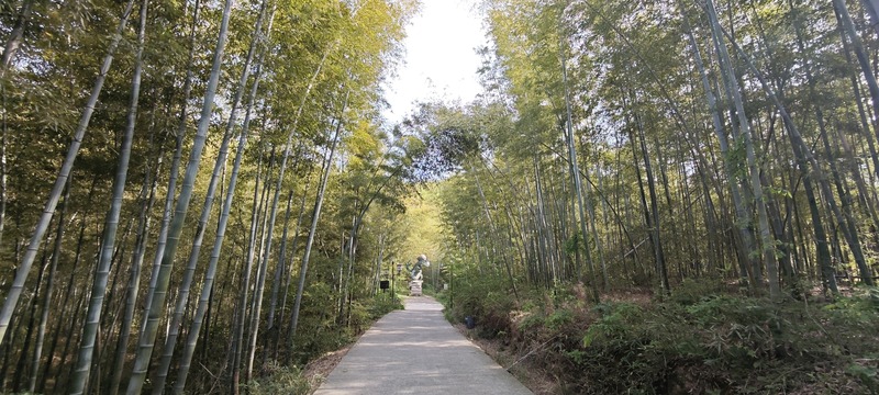 启点团建拓展之“南京江宁黄龙岘”团建拓展基地：茶香沁心，凝聚团队力量的理想之地3.jpg