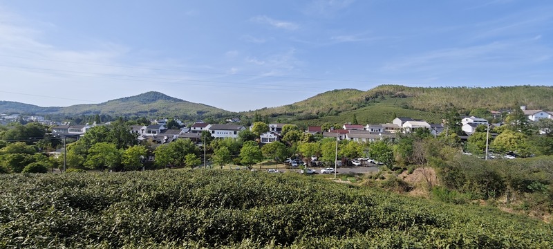 启点团建拓展之“南京江宁黄龙岘”团建拓展基地：茶香沁心，凝聚团队力量的理想之地2.jpg