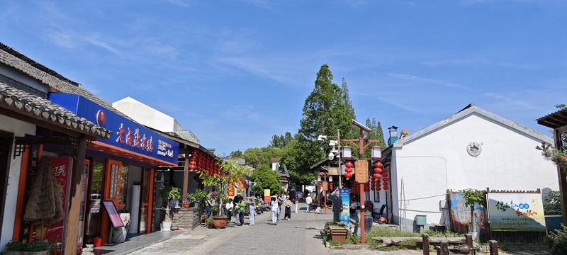 启点团建拓展之“南京江宁黄龙岘”团建拓展基地：茶香沁心，凝聚团队力量的理想之地96.jpg