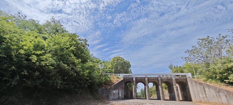 启点团建拓展之“南京江宁黄龙岘”团建拓展基地：茶香沁心，凝聚团队力量的理想之地6.jpg
