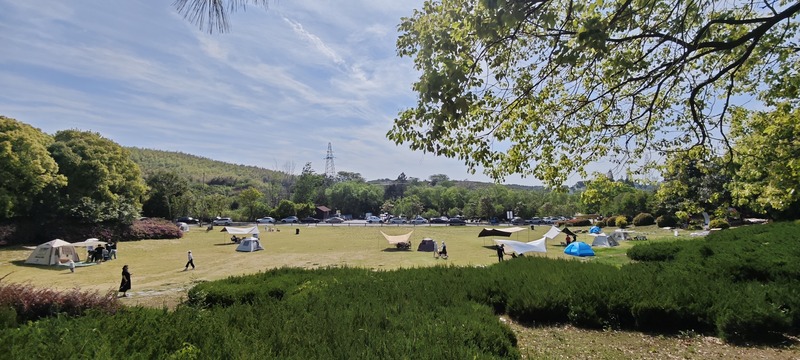 启点团建拓展之“南京江宁黄龙岘”团建拓展基地：茶香沁心，凝聚团队力量的理想之地5292.jpg