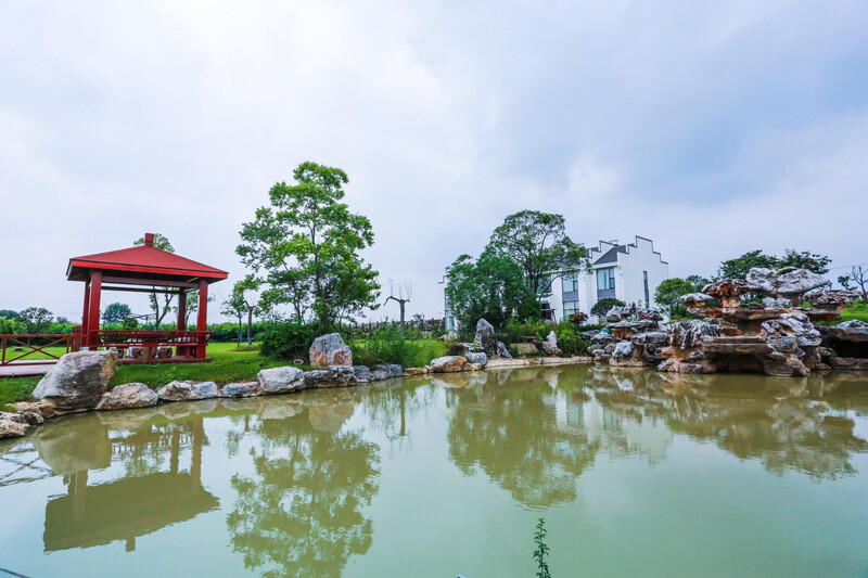 启点团建拓展之“镇江句容清境田园”团建拓展基地：田园中的团队活力引擎85.jpg