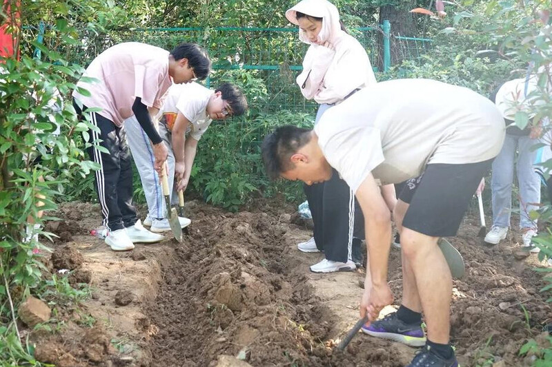 启点团建拓展之“镇江句容清境田园”团建拓展基地：田园中的团队活力引擎.jpg