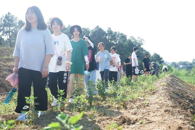 启点团建拓展之“镇江句容清境田园”团建拓展基地：田园中的团队活力引擎0.jpg