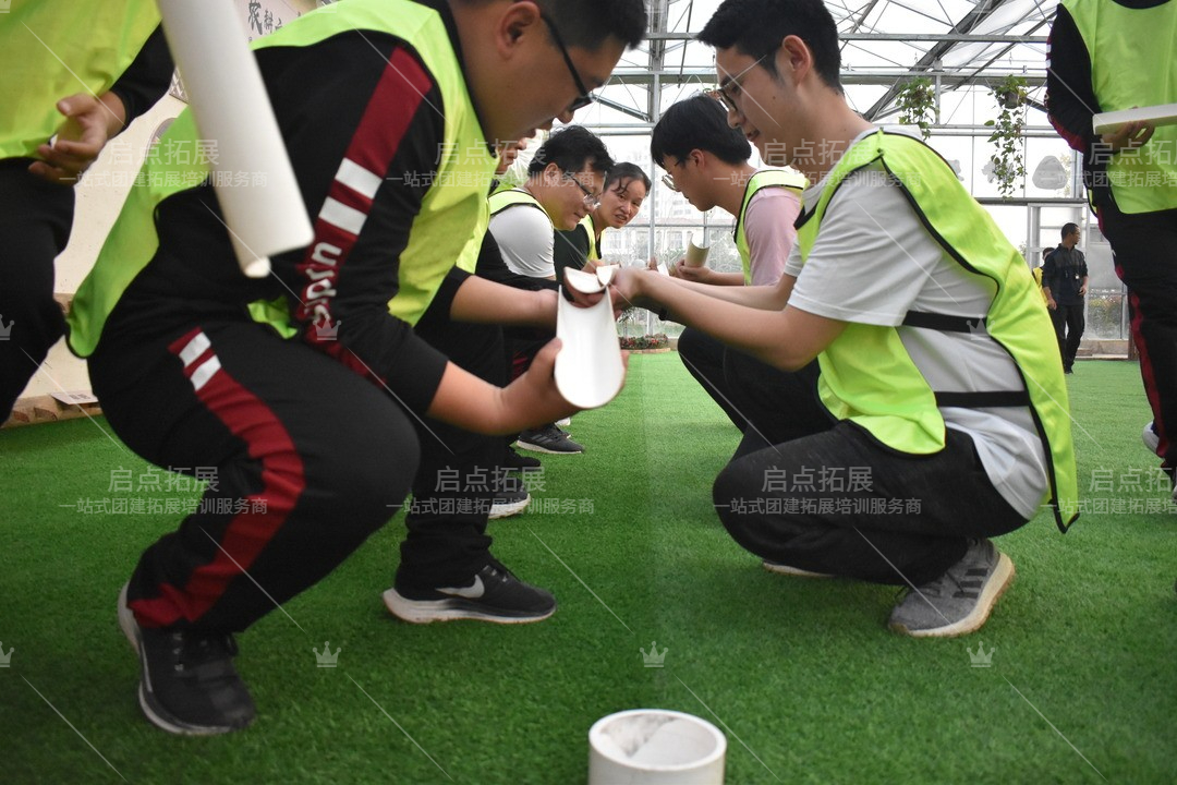 南京团队合作，打造默契团队的奥秘