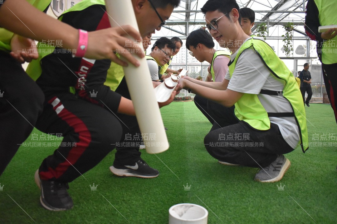 南京拓展训练的价值与成功案例解析