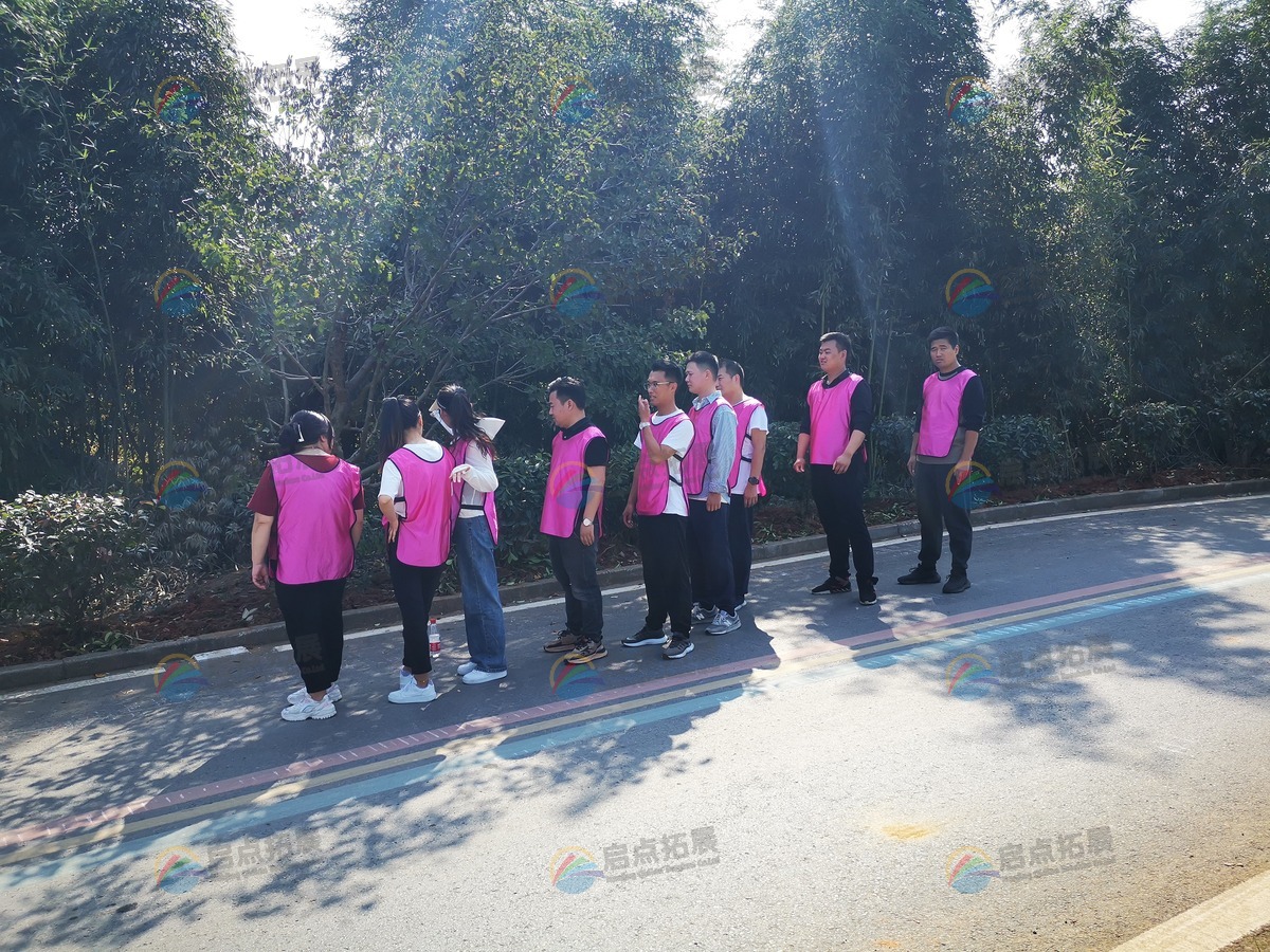 全方位拓展团建方案，提升团队合作效能