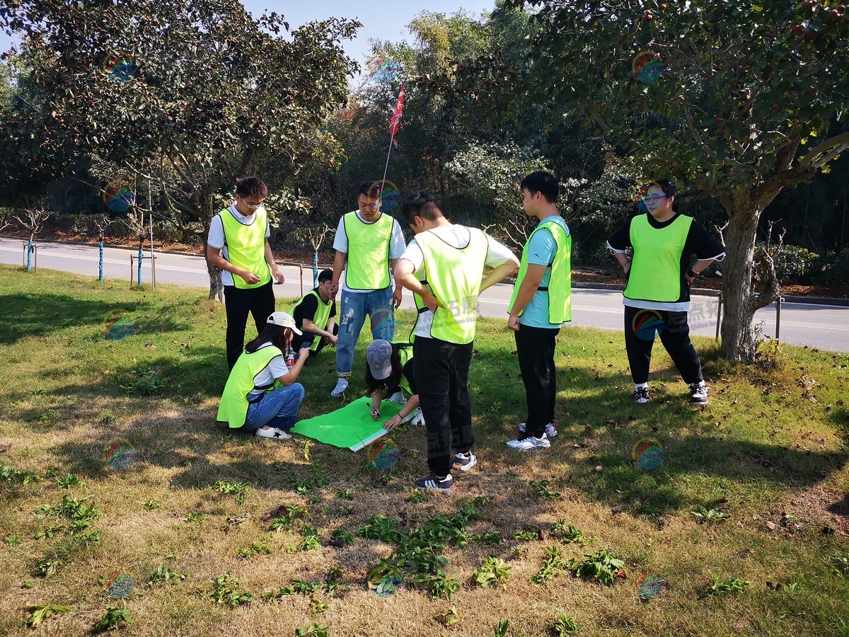 高效拓展团建活动策划，打造团队默契与合作力