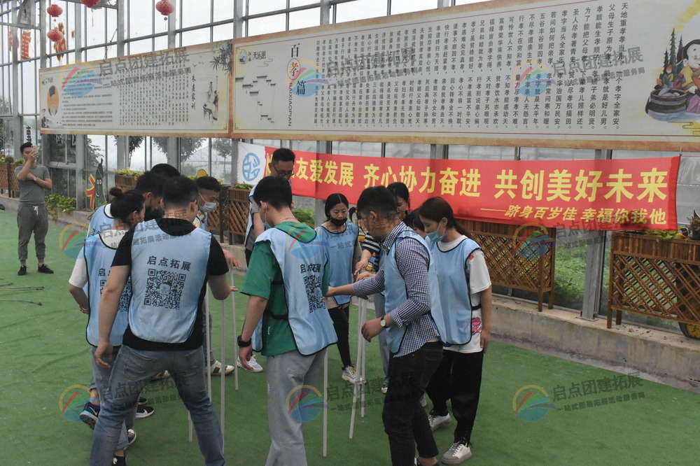 寻找适合团队的拓展团建方案，提升团队凝聚力