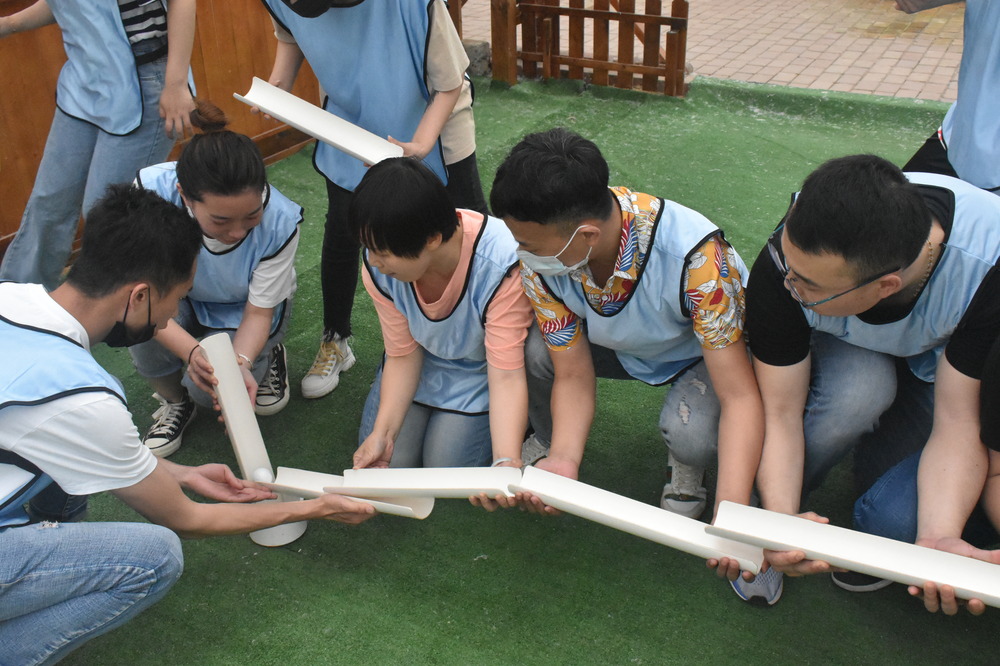 团队建设创新路，开拓广阔天地