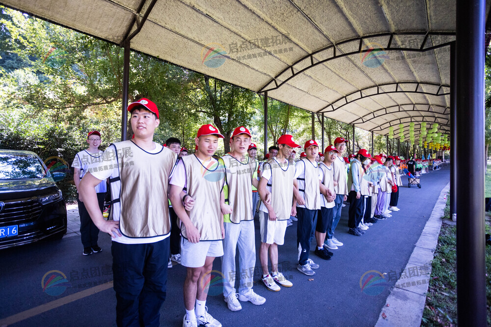 团队建设与成长，共创辉煌未来