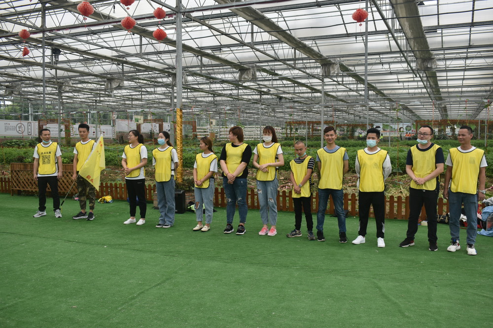 春花烂漫，团队建设添活力