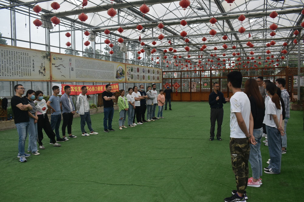 春绿满园，团队建设铸辉煌