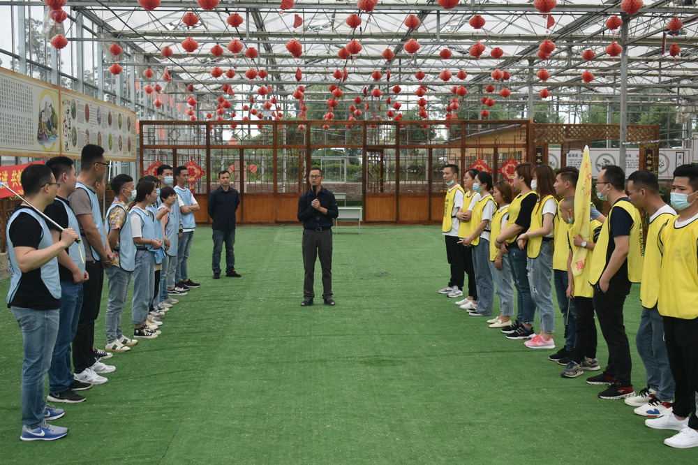 春季团队建设攻略，打造卓越团队