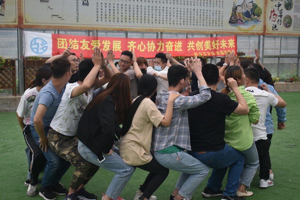 春风得意，团队建设创佳绩