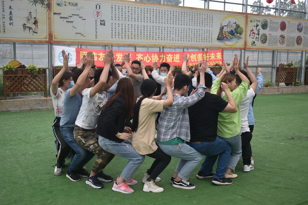 春季团队建设优选，培养团队默契